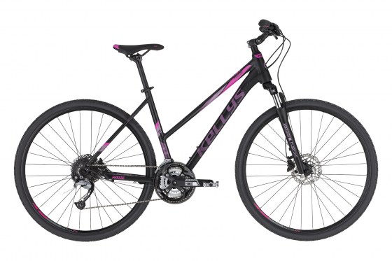 Pheebe 10 Dark Purple